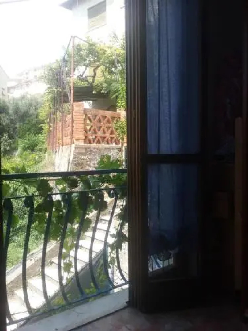 Home Caviglia CITRA 09029-LT-0618