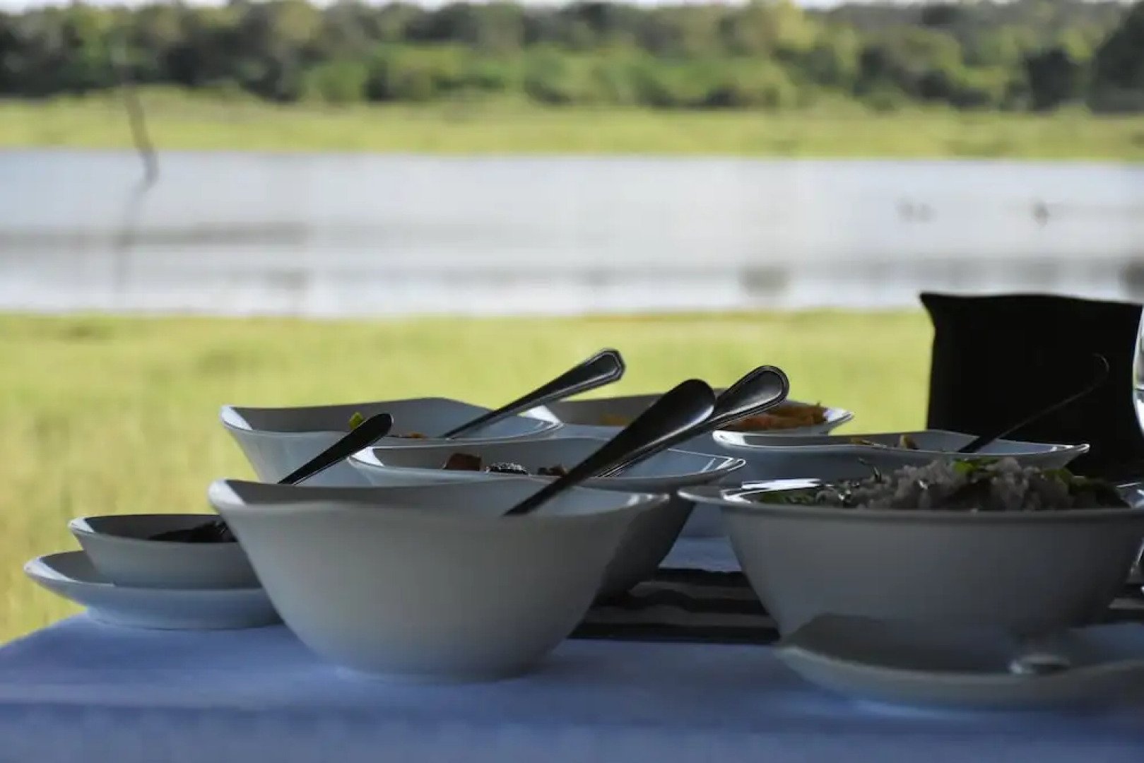 Explorer by Eco Team - Knuckles