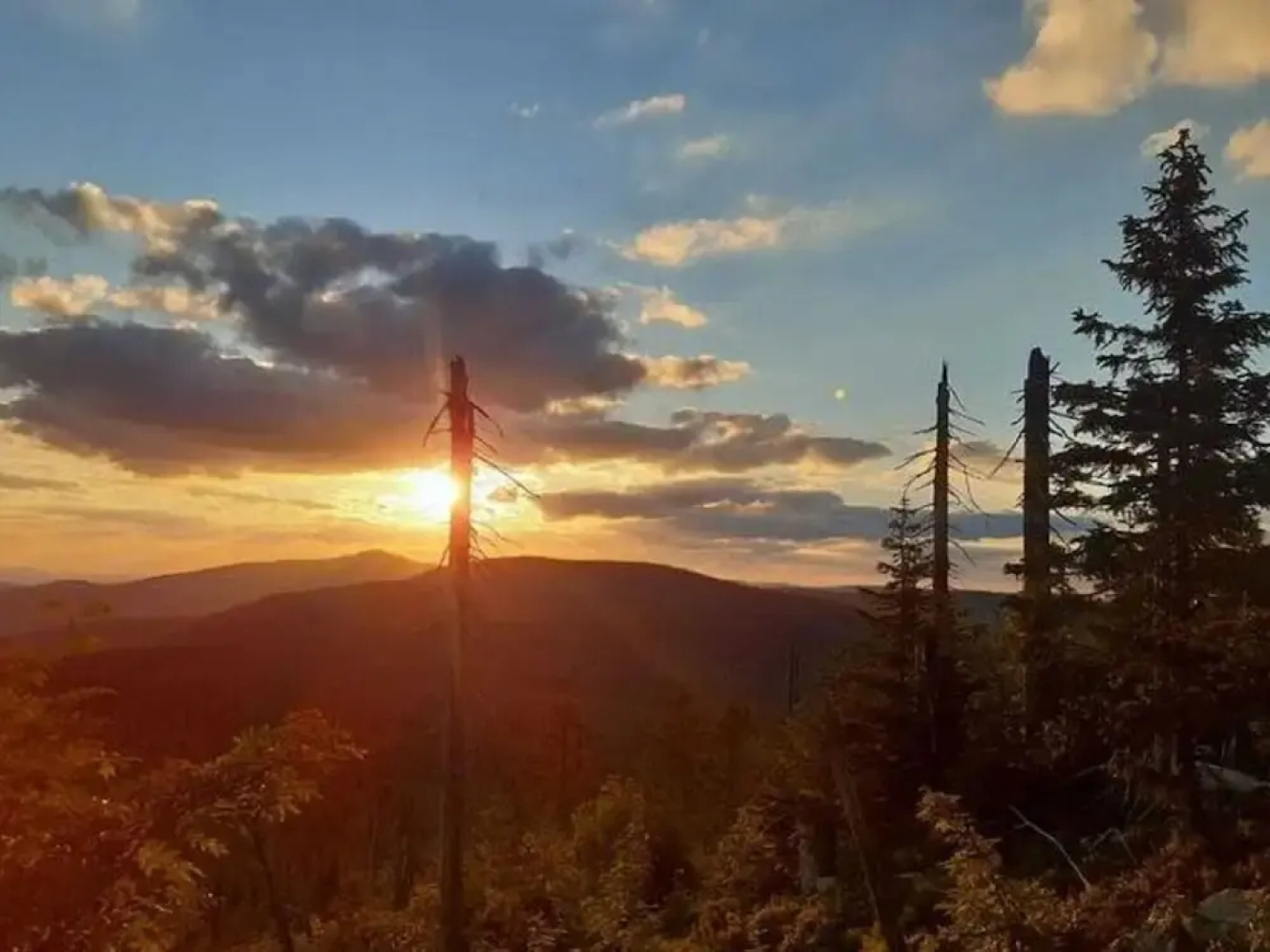 Apartment in Goggersreut mit Terrasse