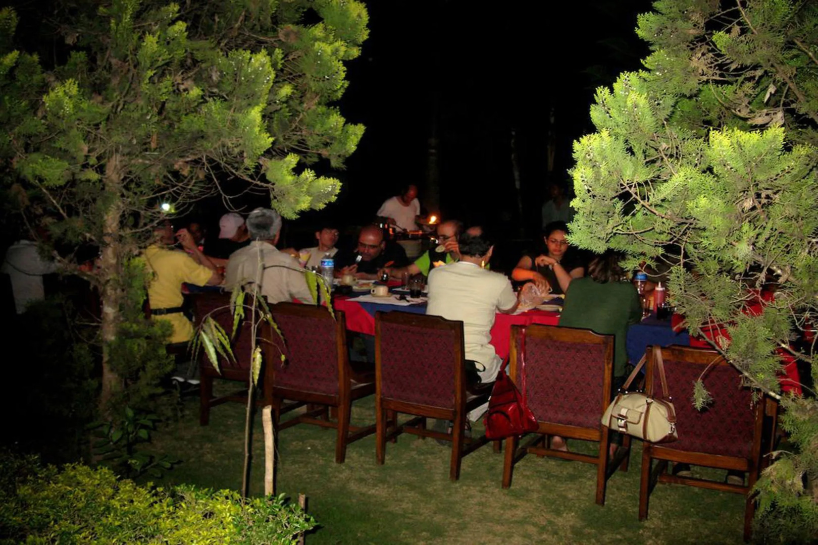 Jungle Safari Resort