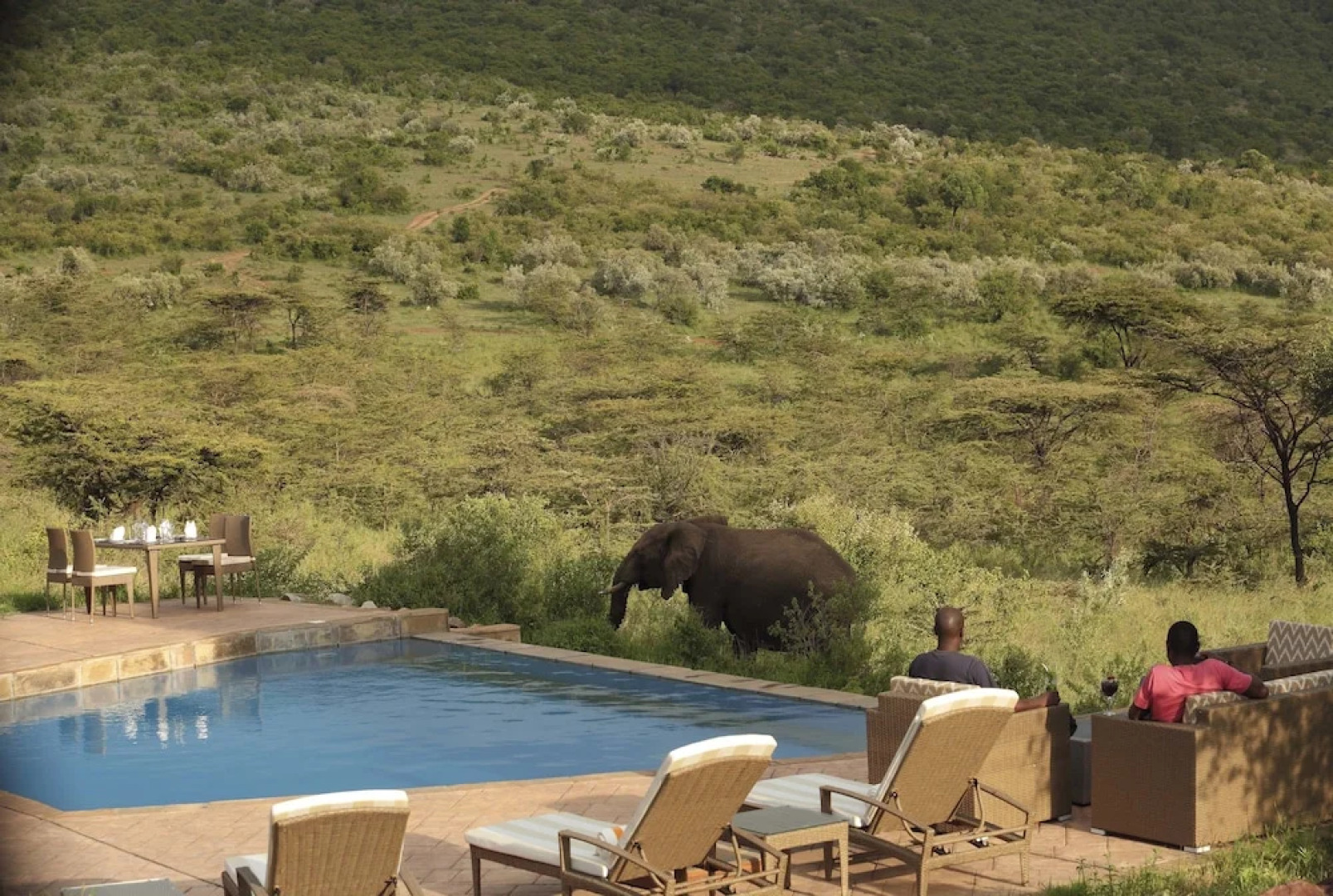 Spirit Of The Masai Mara