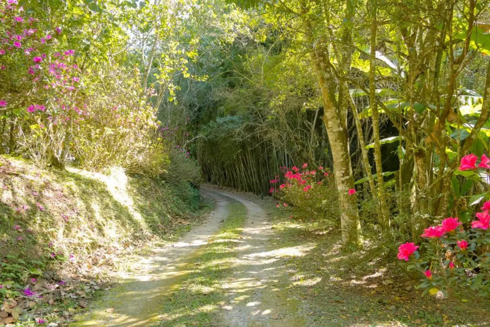 Pousada Passaredo Montanha