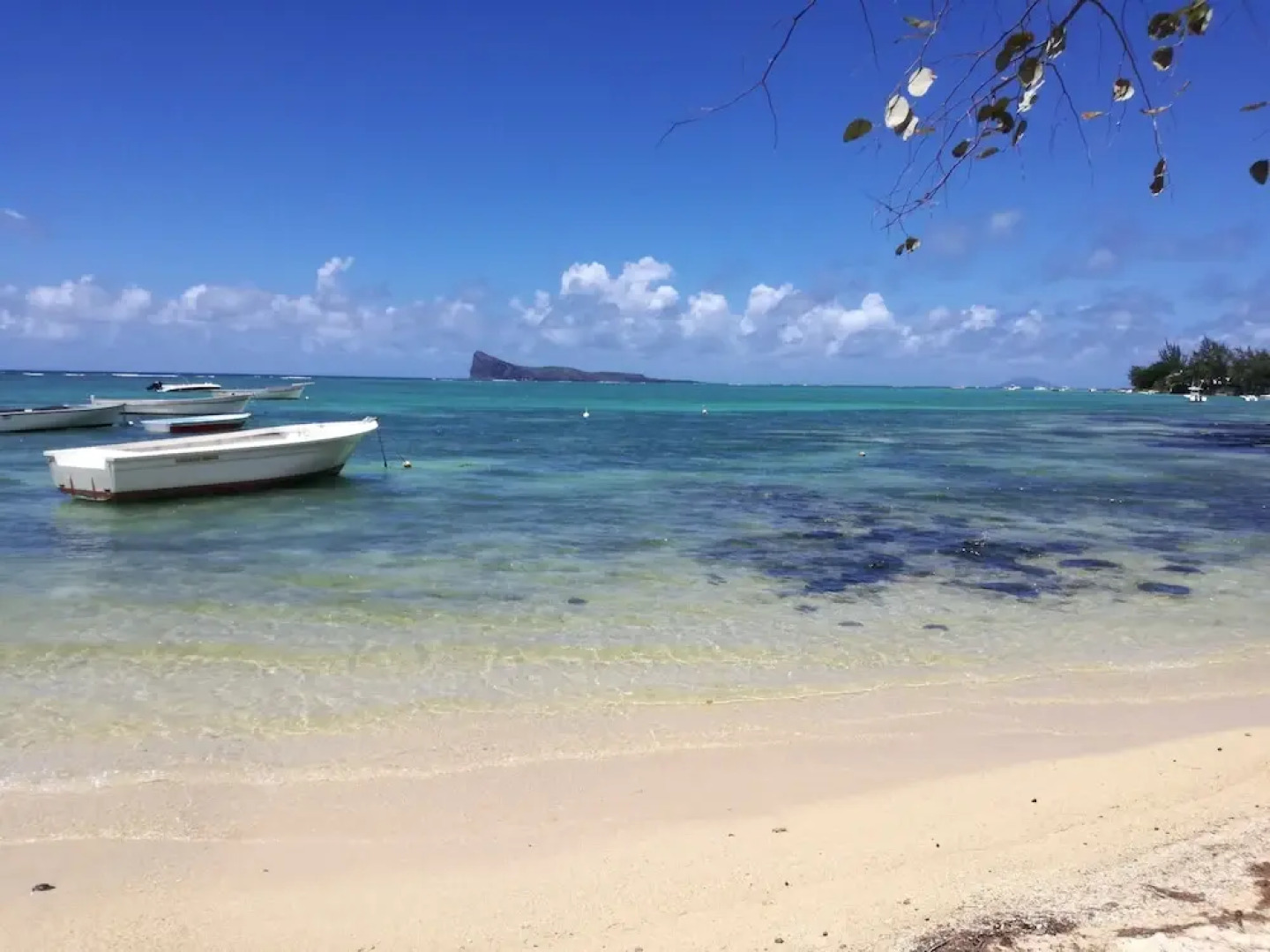 Bahama Breeze Beach Apartment B&B