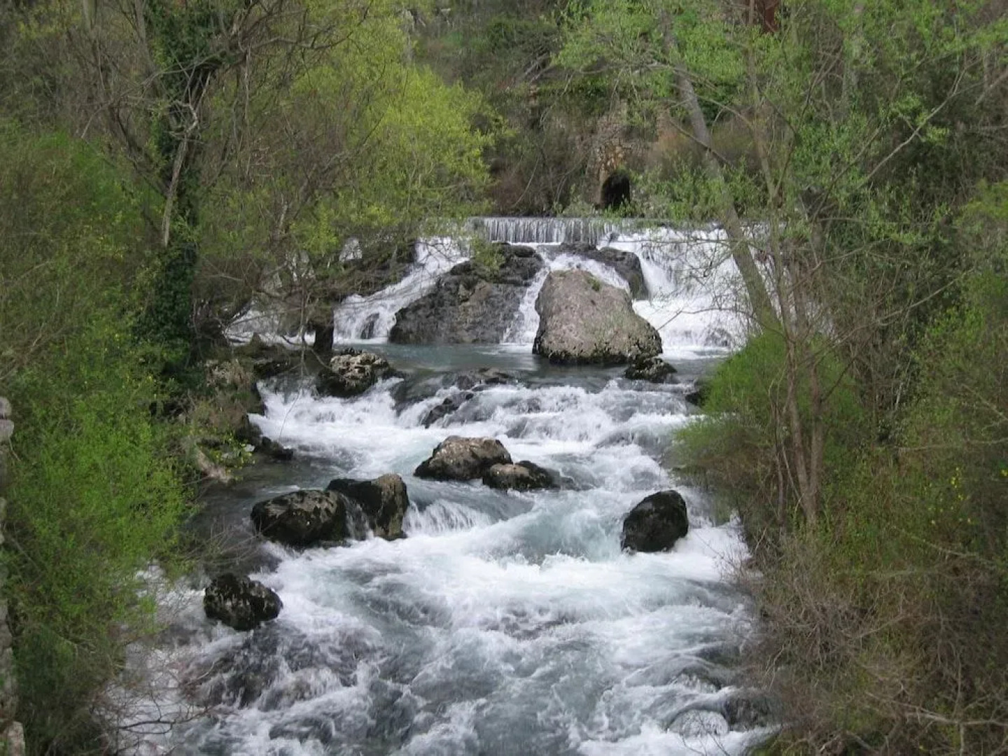 Immersi nella natura