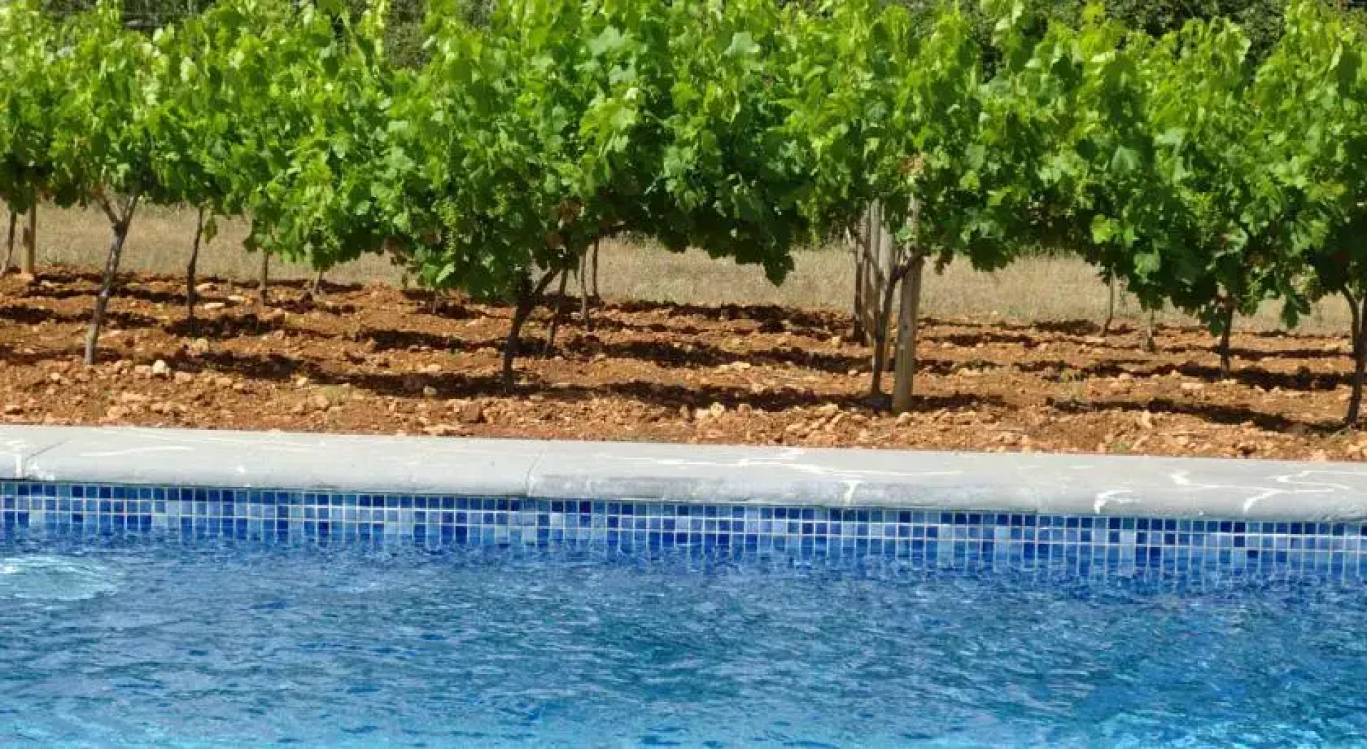 Guesthouse Dulce Vida Mallorca