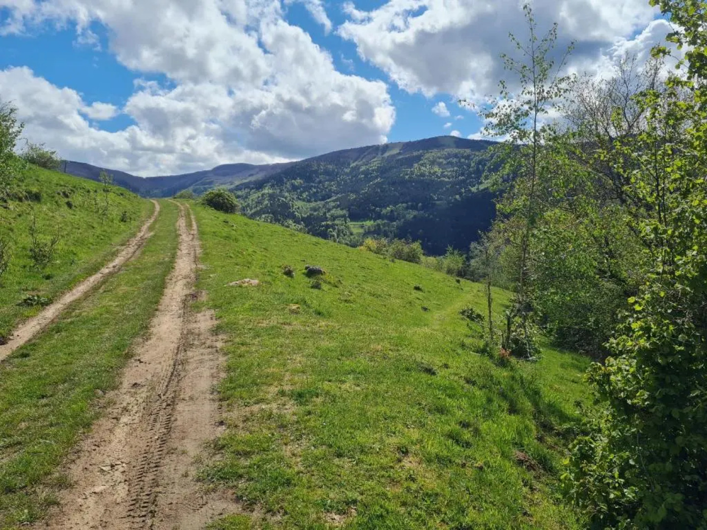 Spacieux et confortables gîtes à proximité randonnées, lacs, ski nature