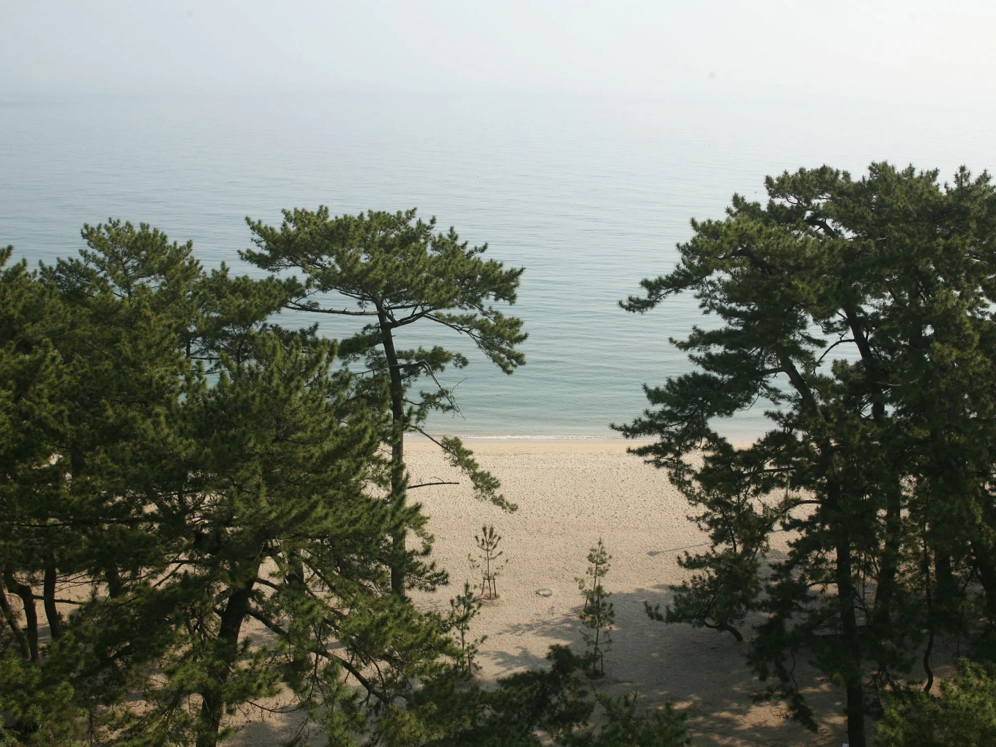 Yumekaiyu Awajishima