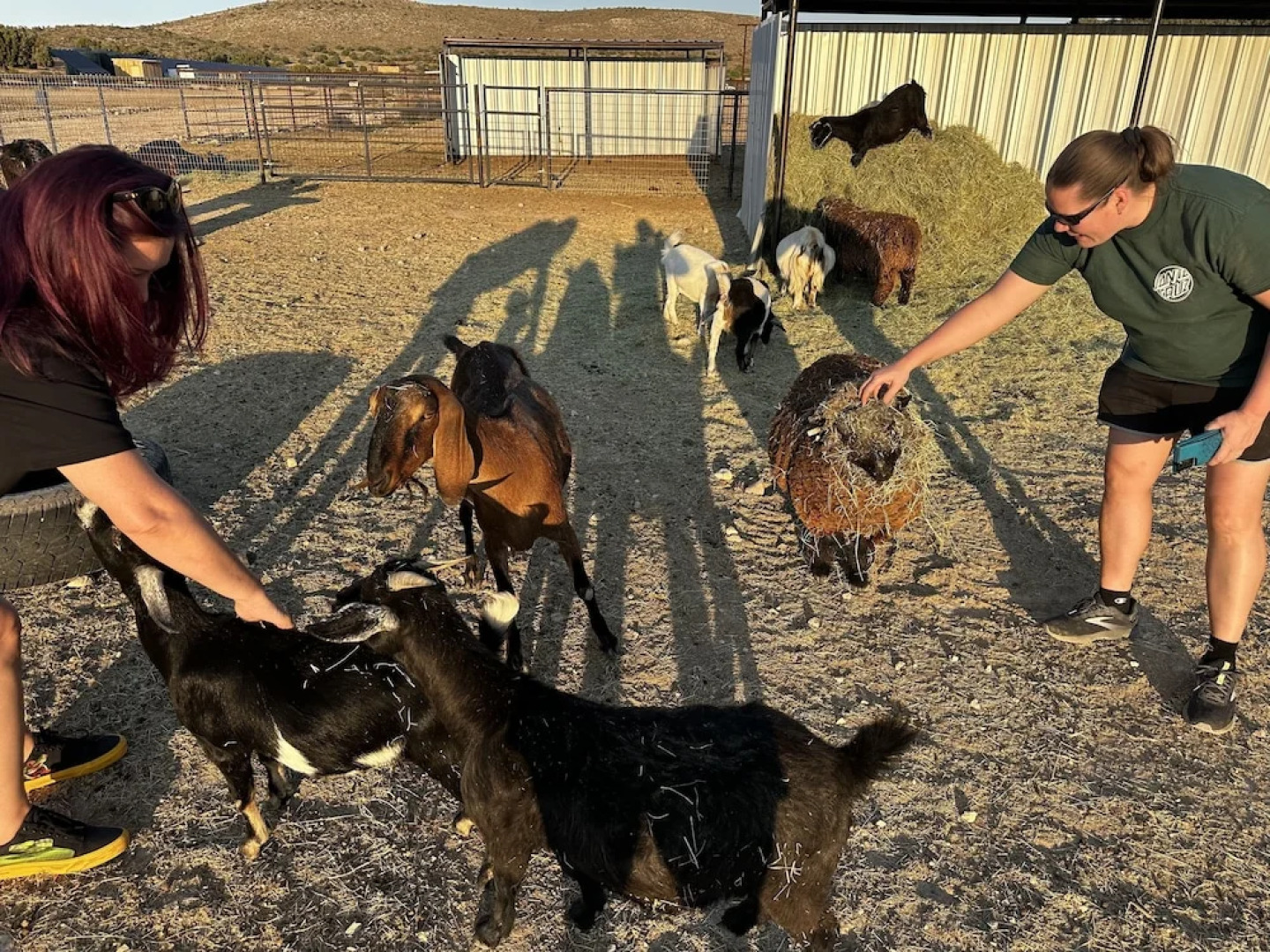 Grand Canyon Glamping Resort