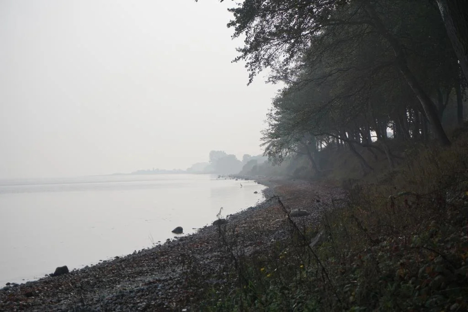 Møllehusets Bed & Breakfast