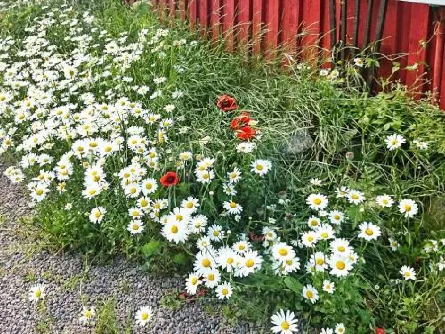 Three-Bedroom Holiday home in Gamleby 2