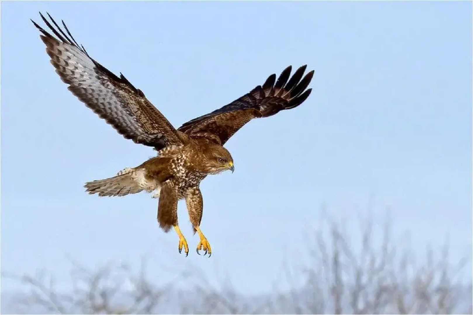 Holiday Home Brandthuberren