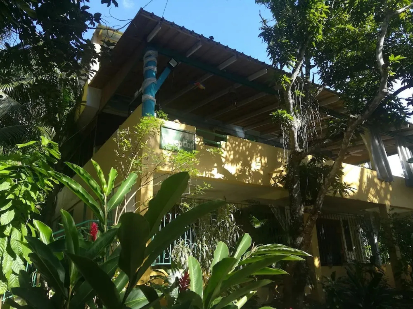 Dan and Manty's Guesthouse