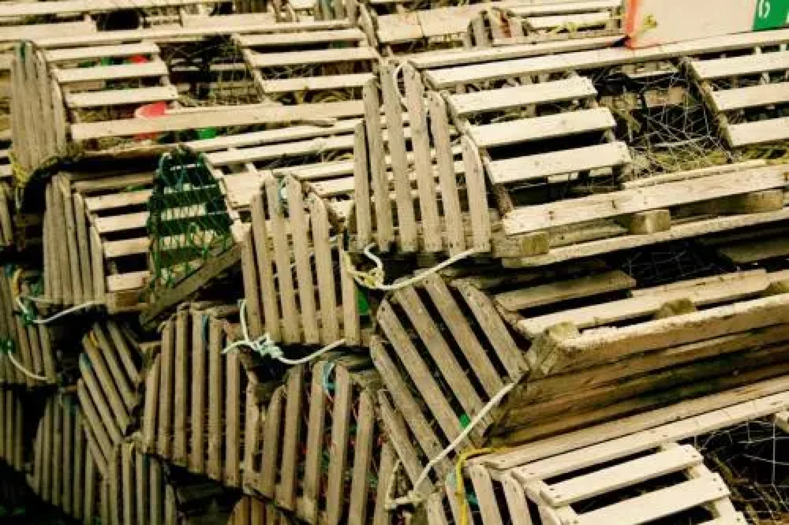 The Convent Guesthouse