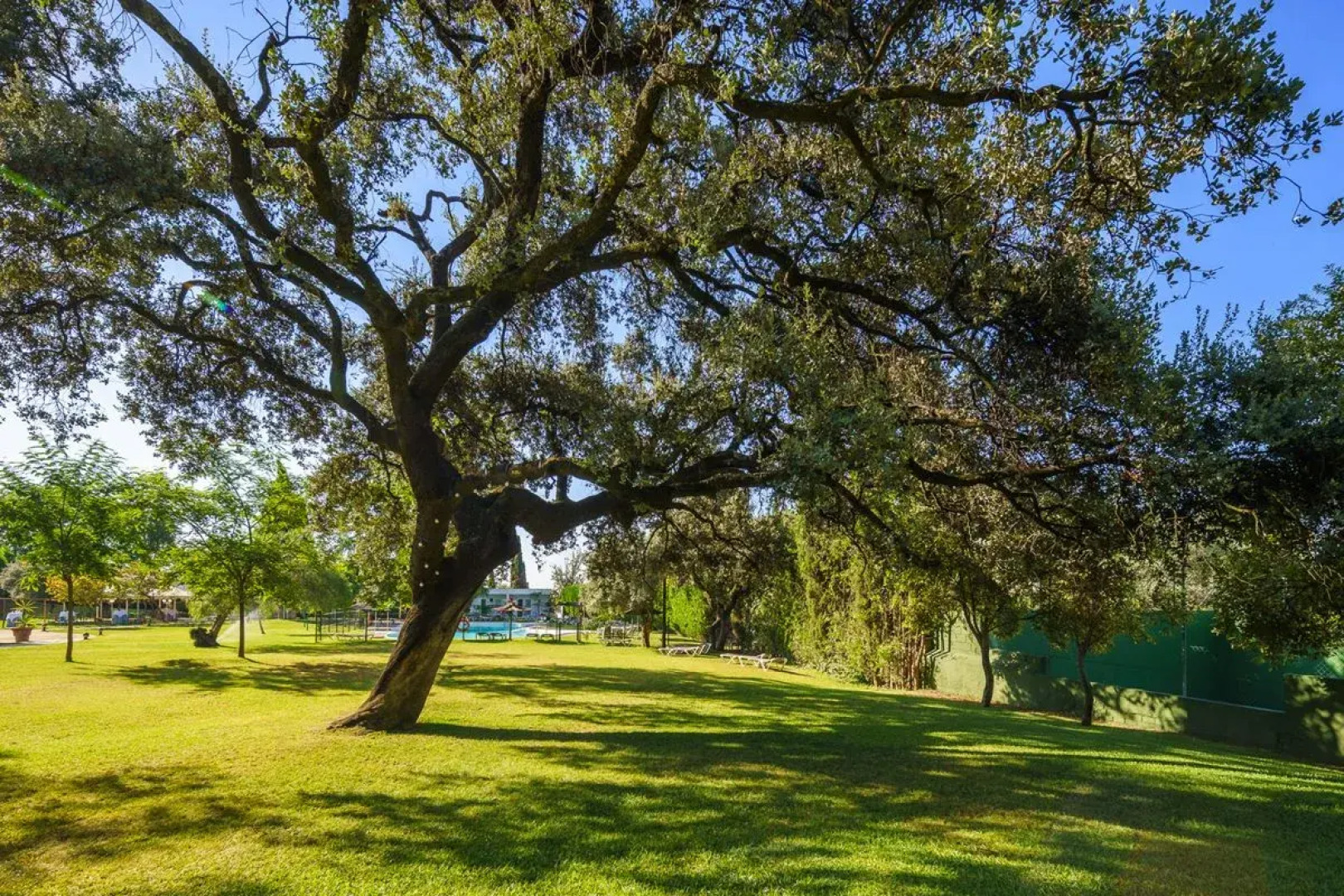 Crisol Jardines de Córdoba