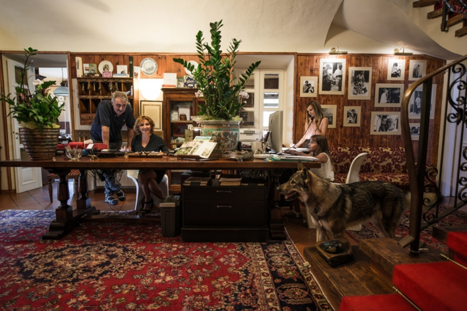 Felicin - Villa Stella