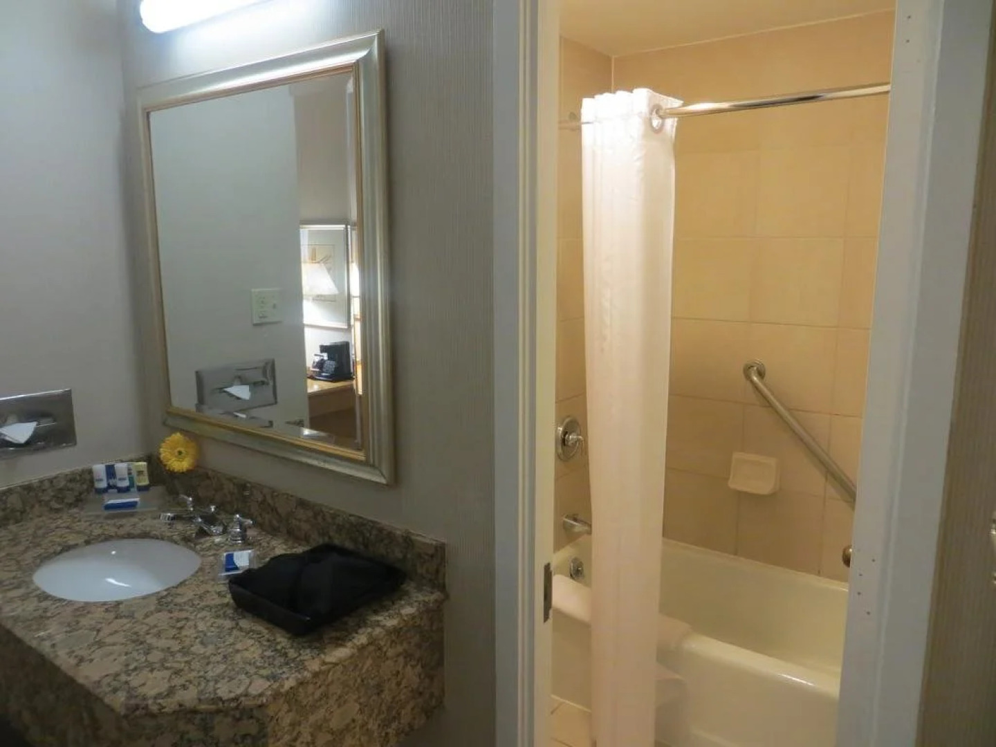 Love Field Hotel and Suites