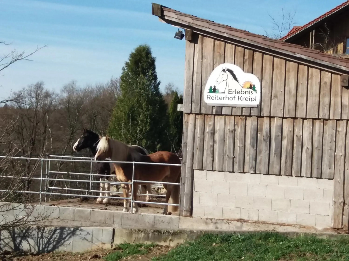 Ferienwohnung auf dem Erlebnisreiterhof Kreipl