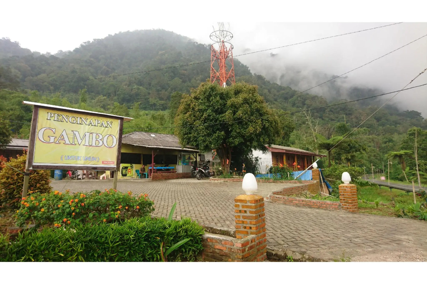 Penginapan Gambo