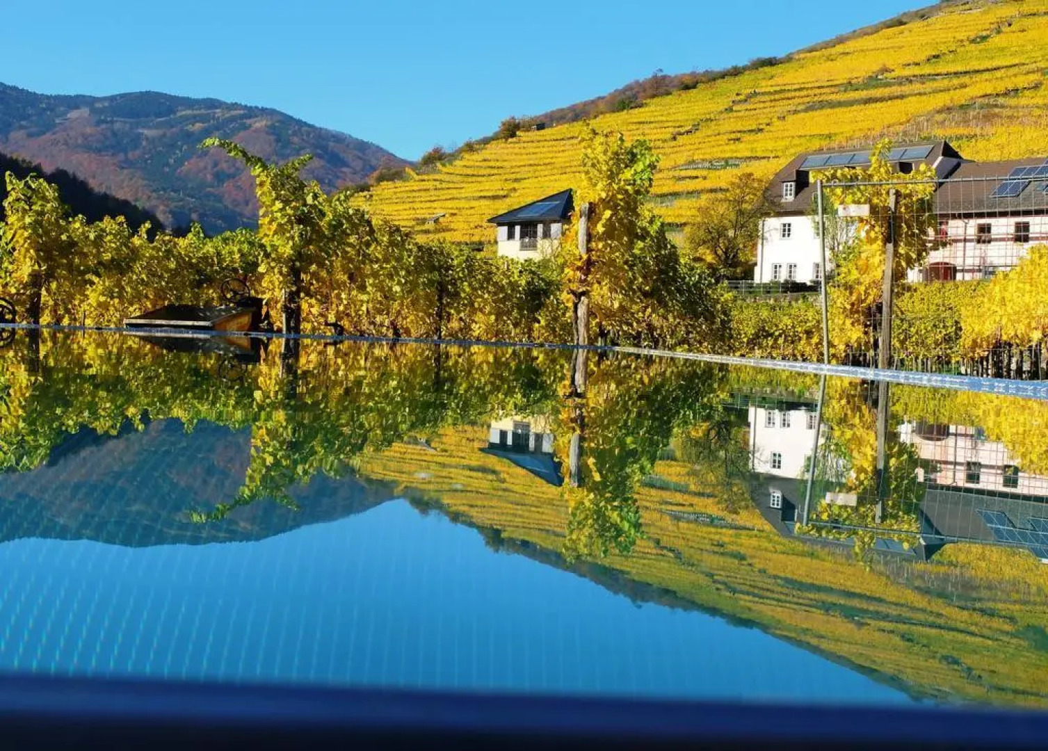 Weingut Donabaum "In der Spitz"