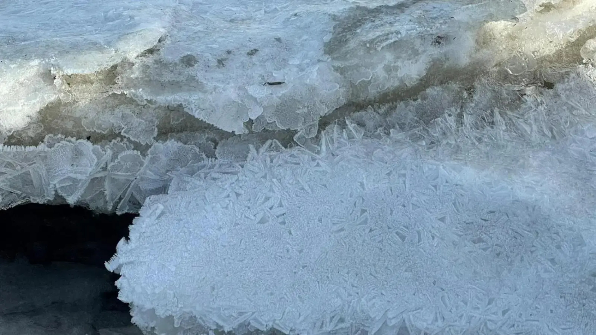 Ferienwohnung-SonnenMeer