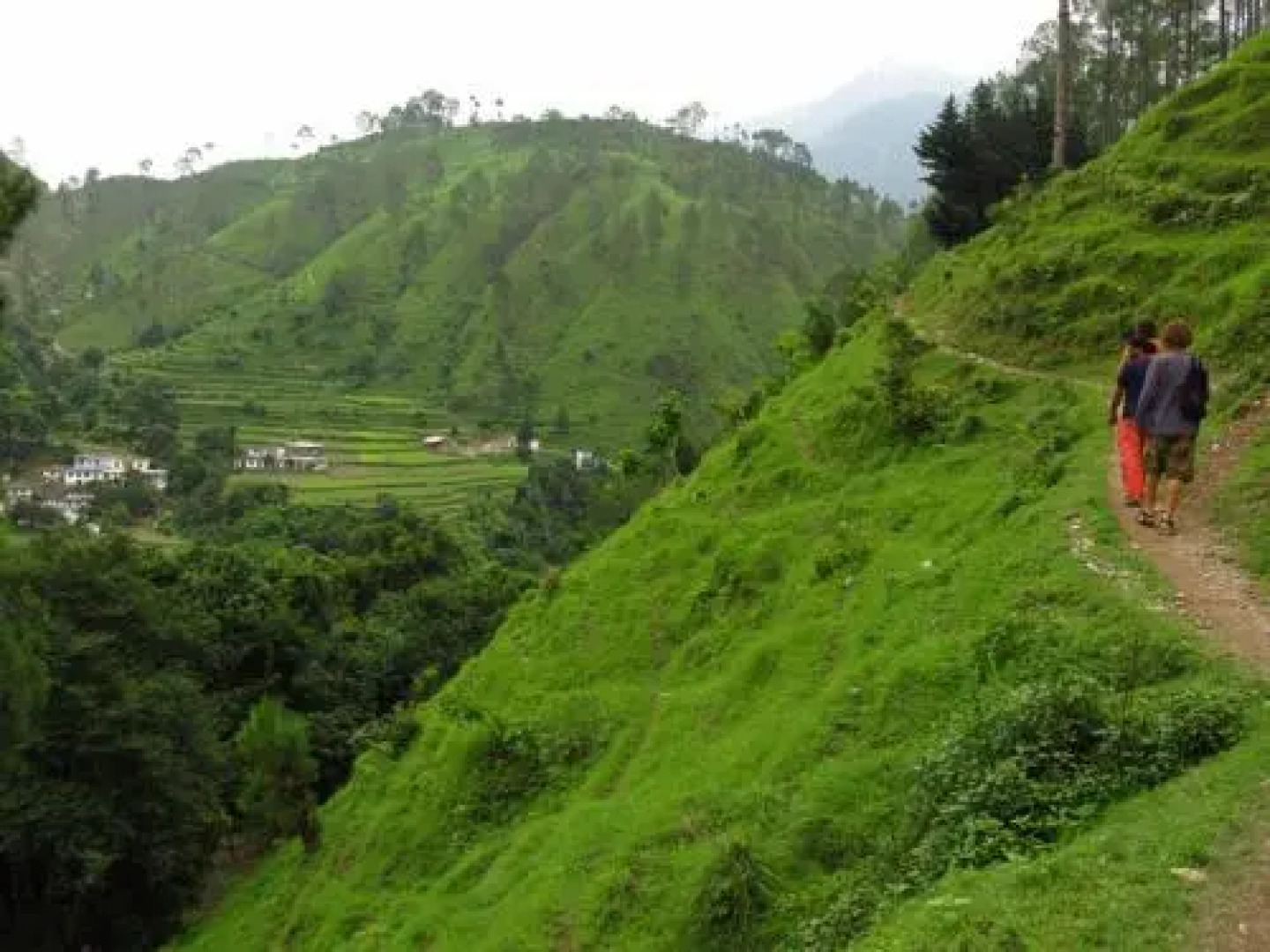 Binsar Valley River Camp