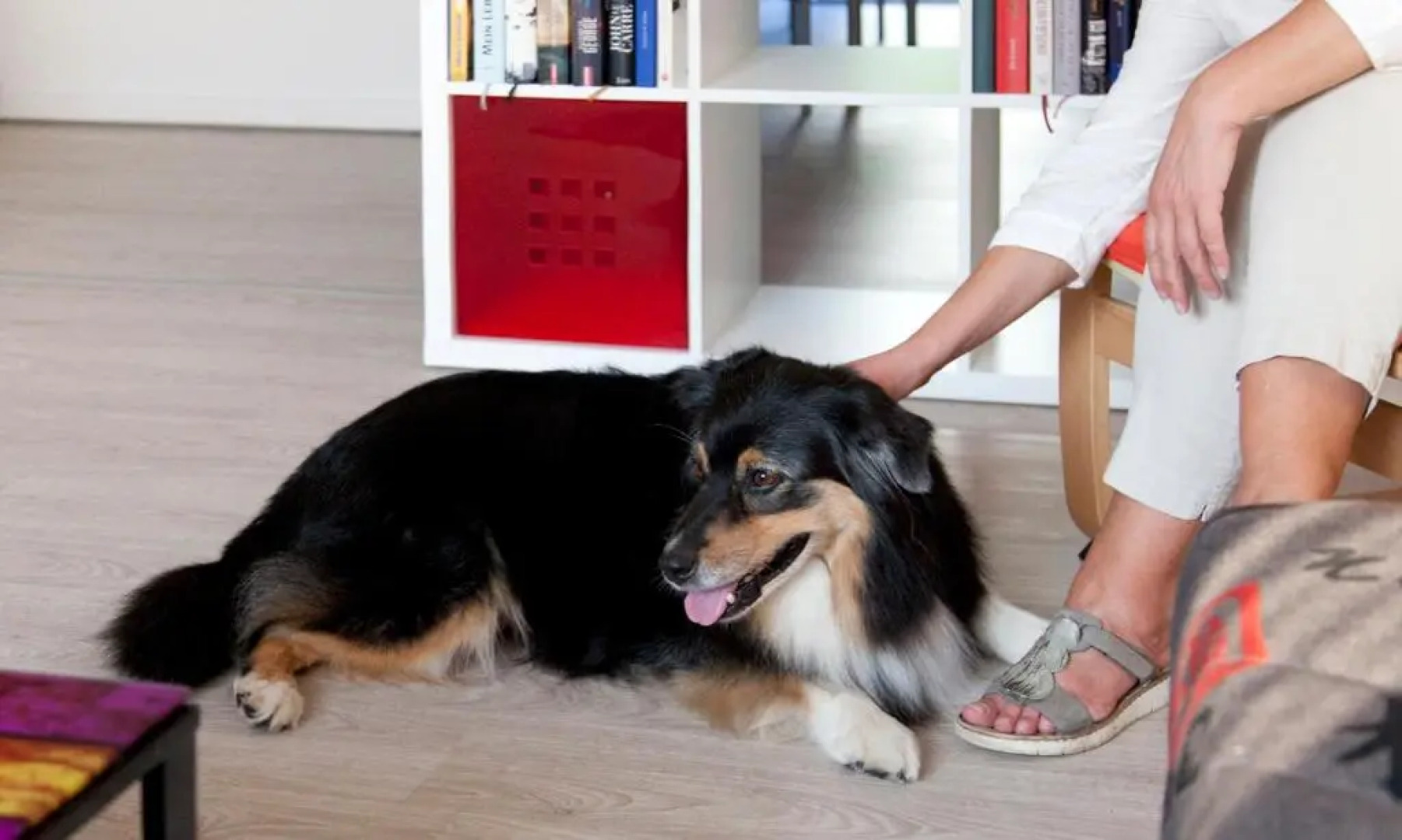 Ferienwohnungen Lennetal