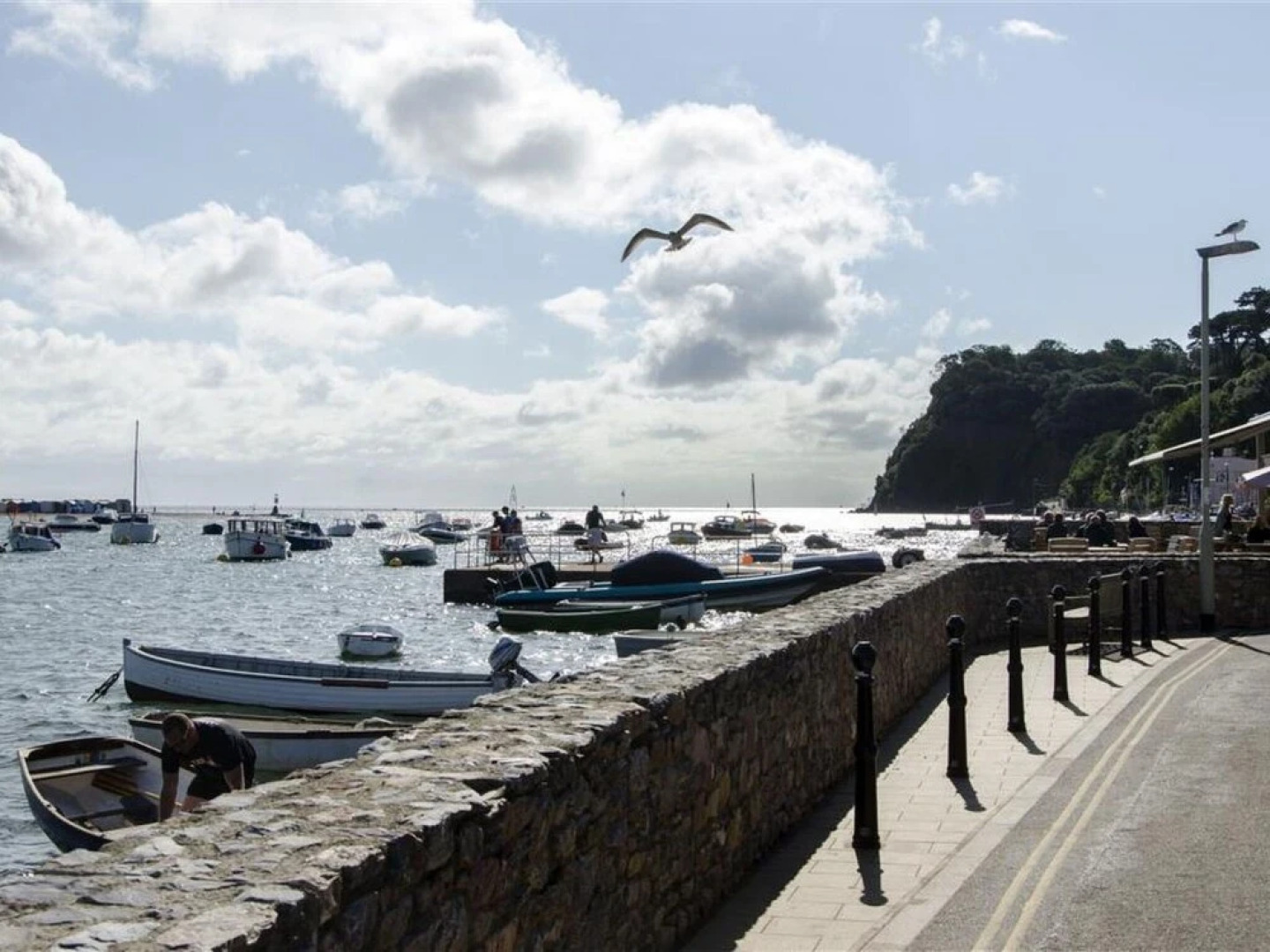 Frannie Shaldon in Shaldon