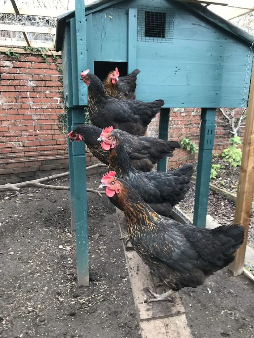 Holywell House B & B