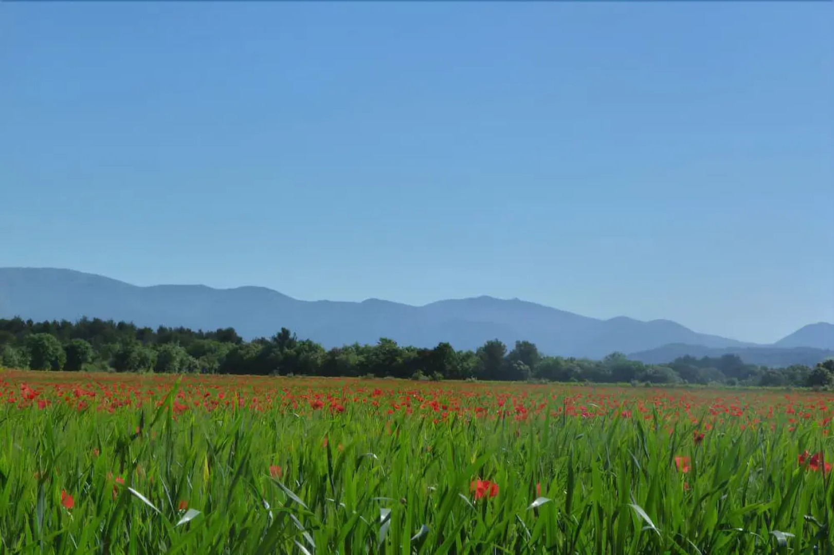 Lodges en Provence - Caravan Park