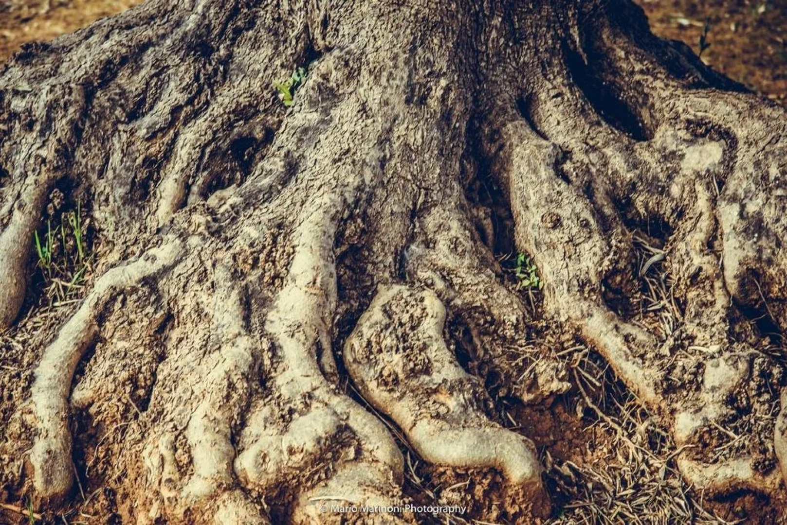 Lichiantidde Home & Breakfast