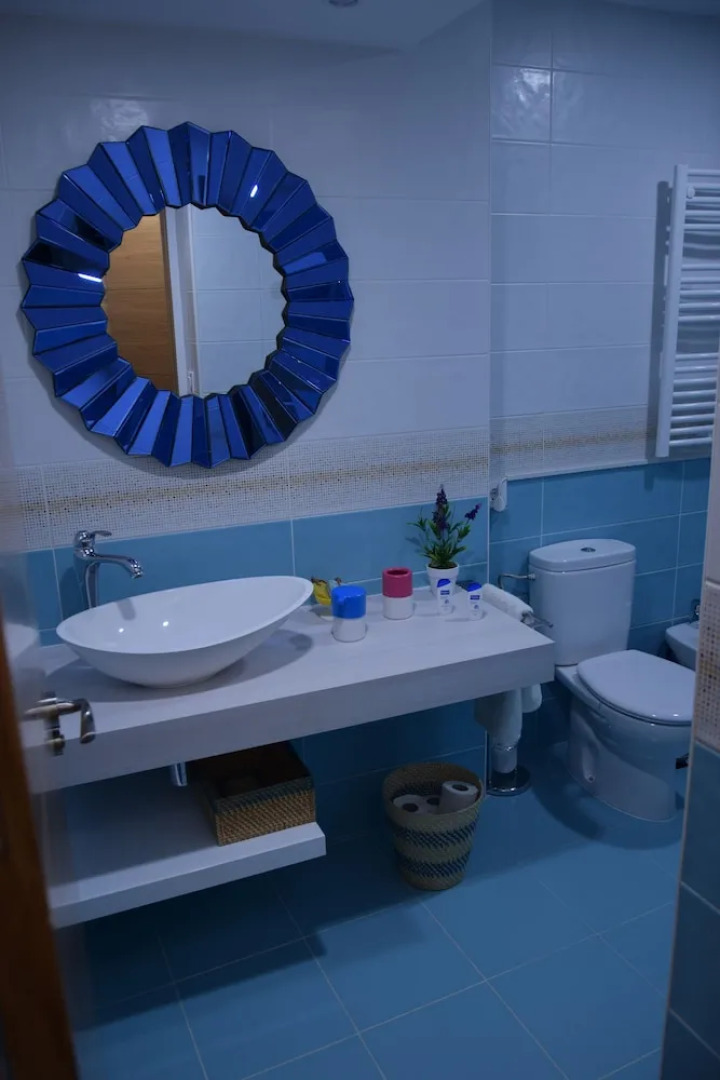 Apartamentos Coso de San Albin