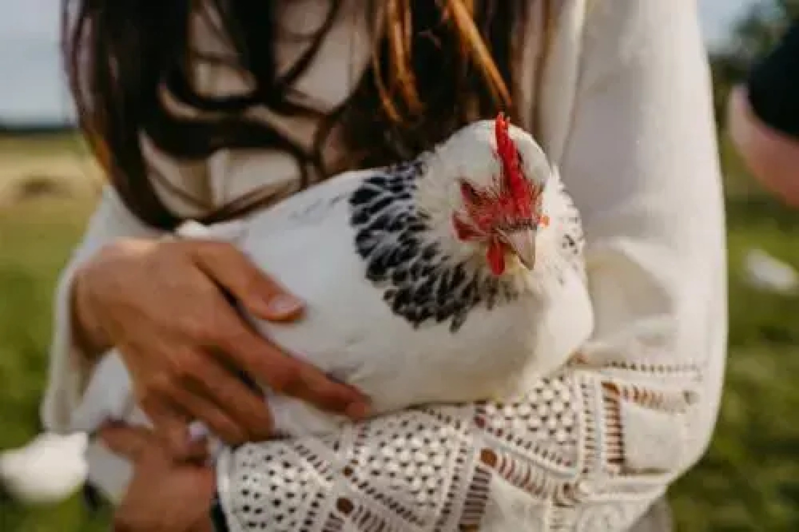 Ringhotel Johanniterbad