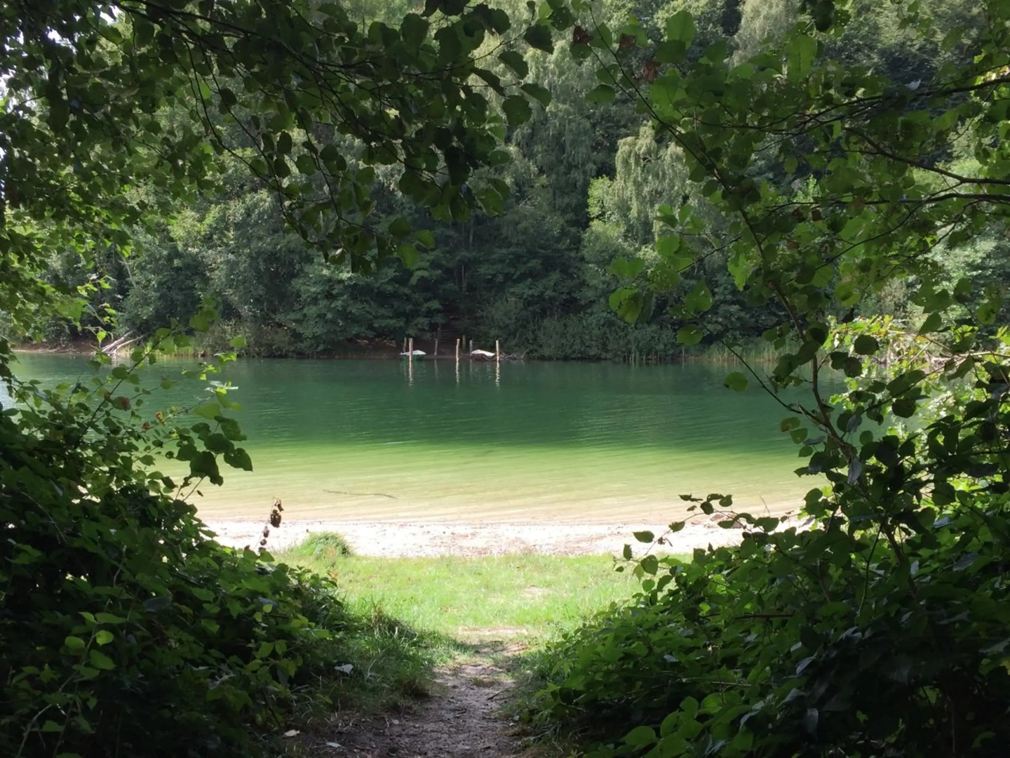 Ferienwohnung Seeblick Ratzeburg
