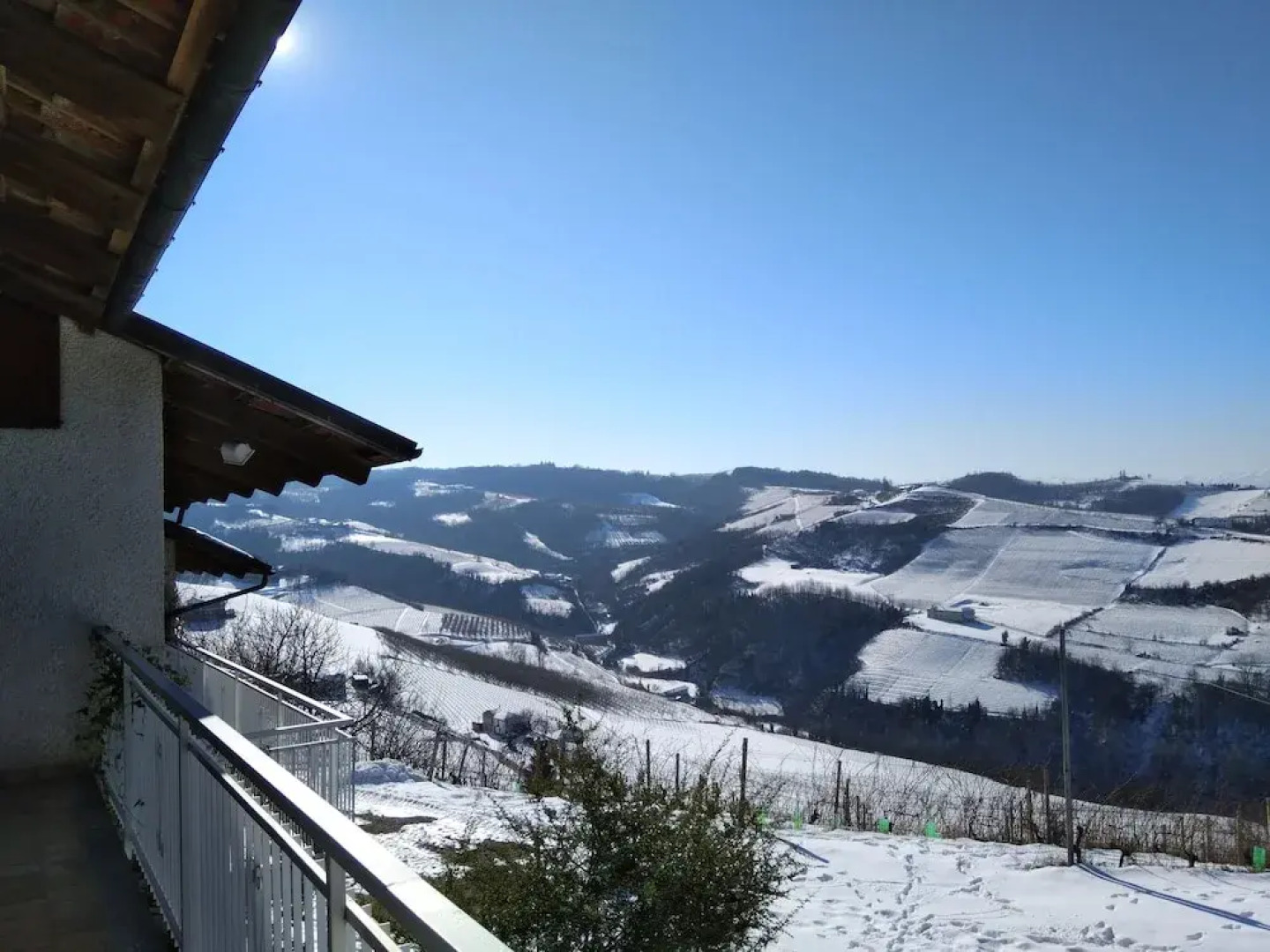 The Grape Pergola House