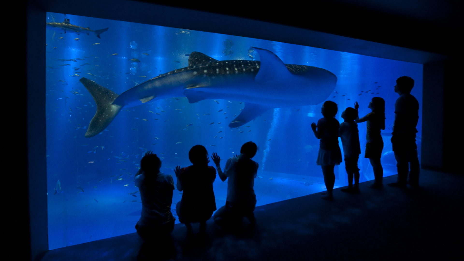 Tenku no Yado Daikanso