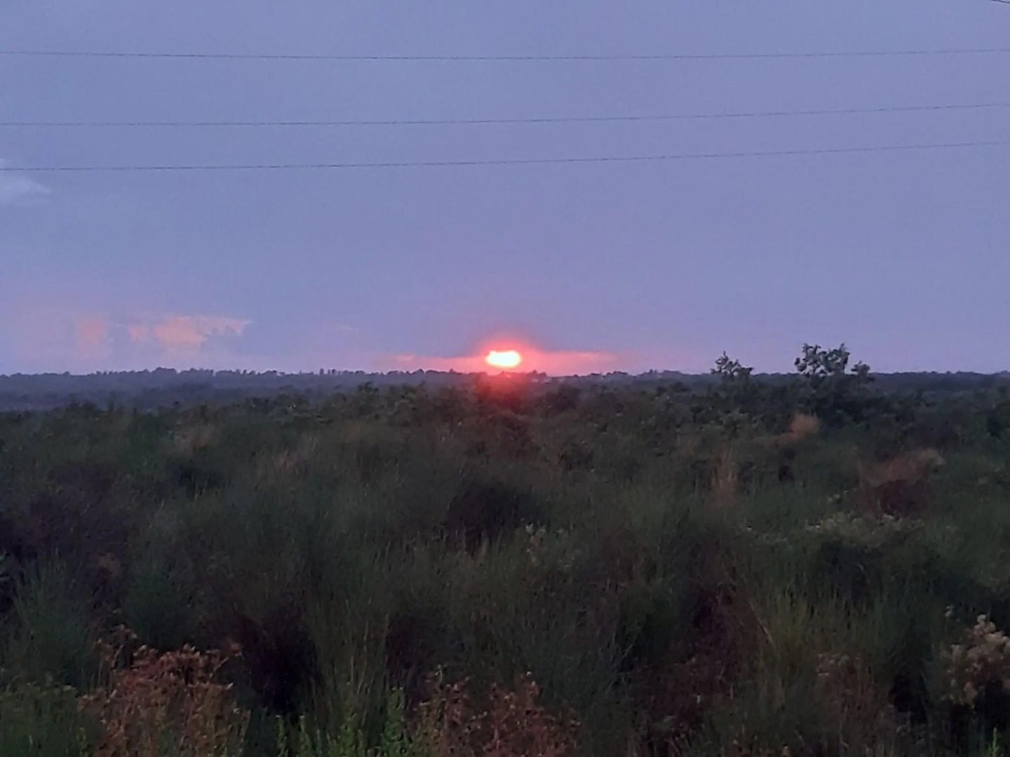 Apartments Lug 2, new and comfortable with pool