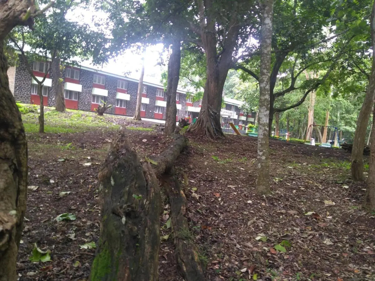 KTDC Periyar House Thekkady