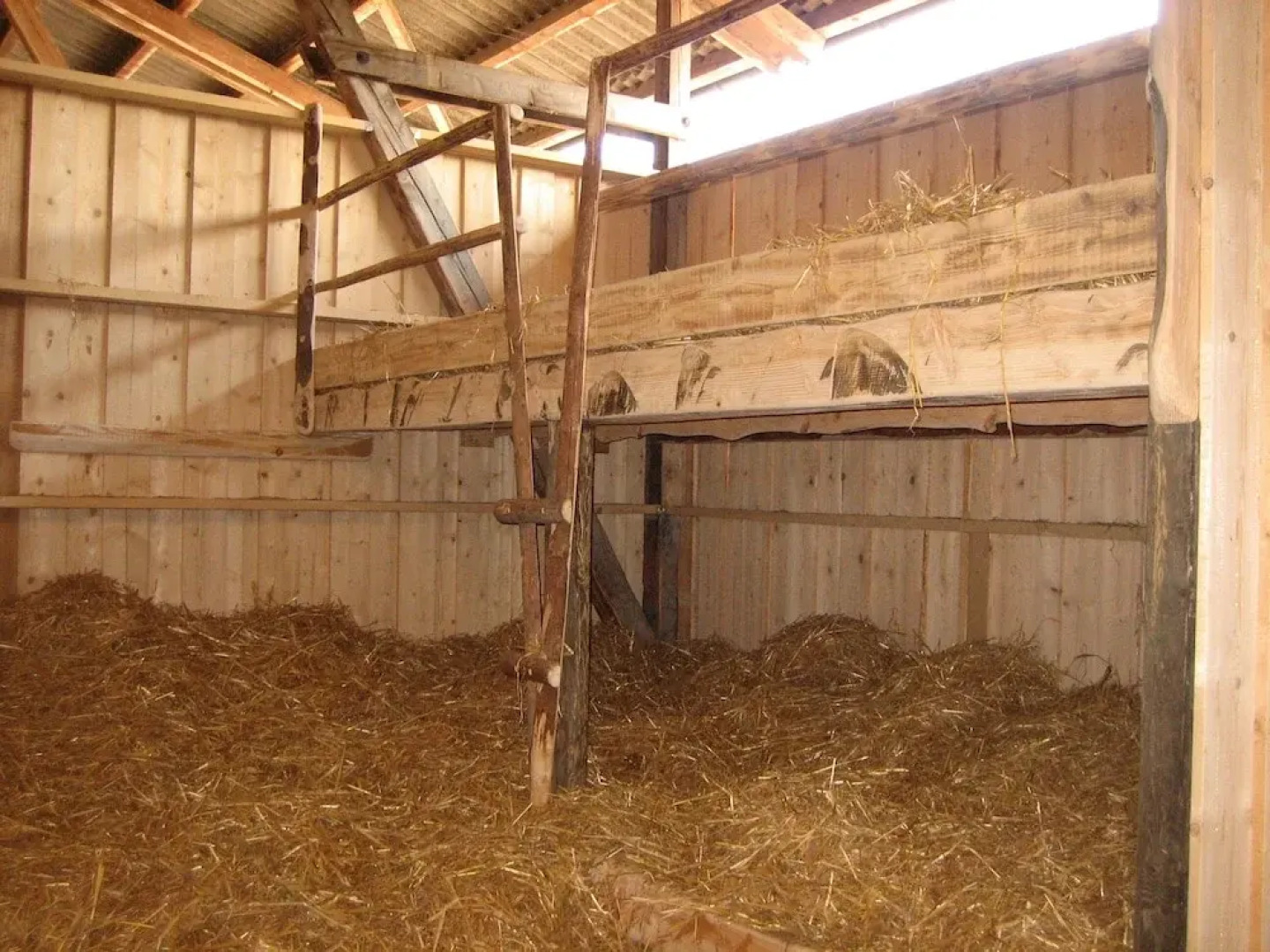 Steigmatt Bauernhof - Erlebnis