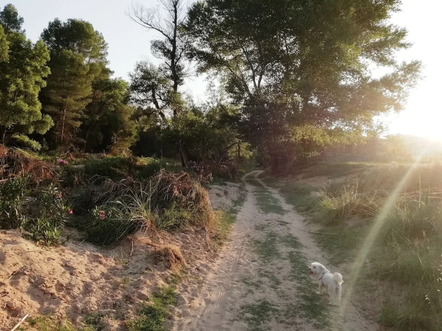 Casa Rural Puente del Segura F