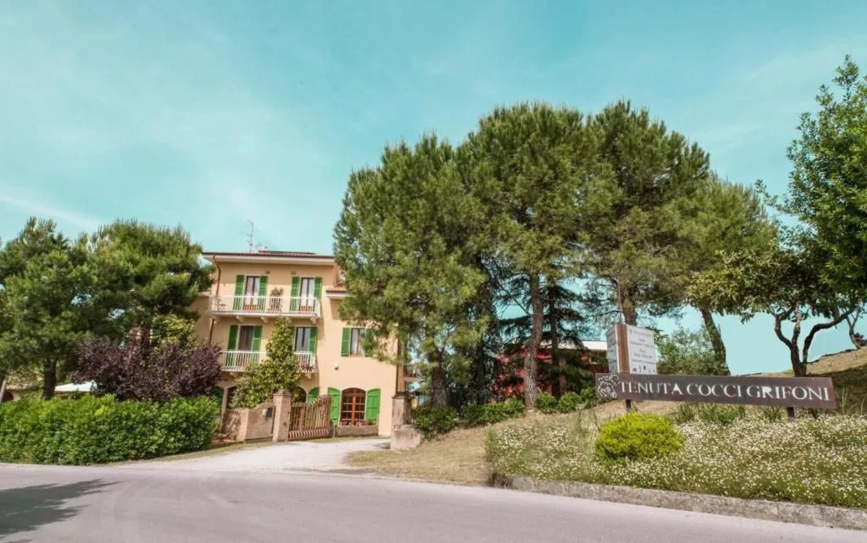 Tenuta Cocci Grifoni