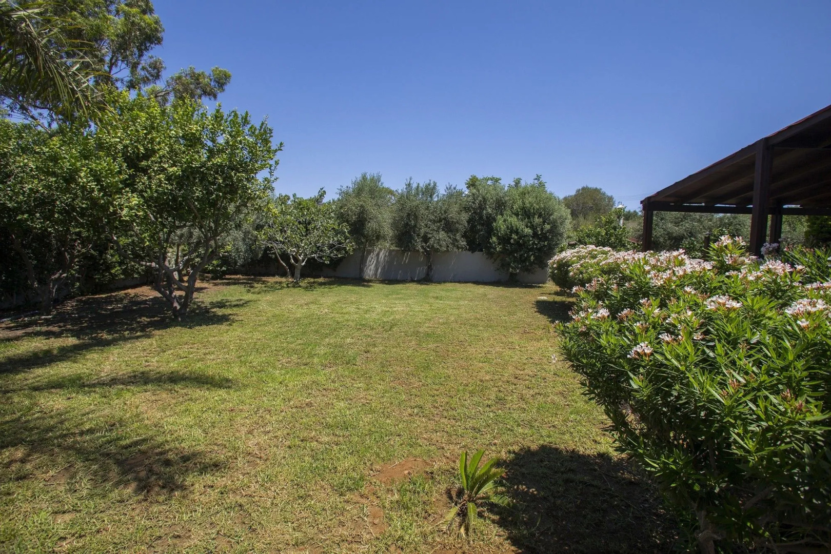 Ayia Napa Villa Magnolia