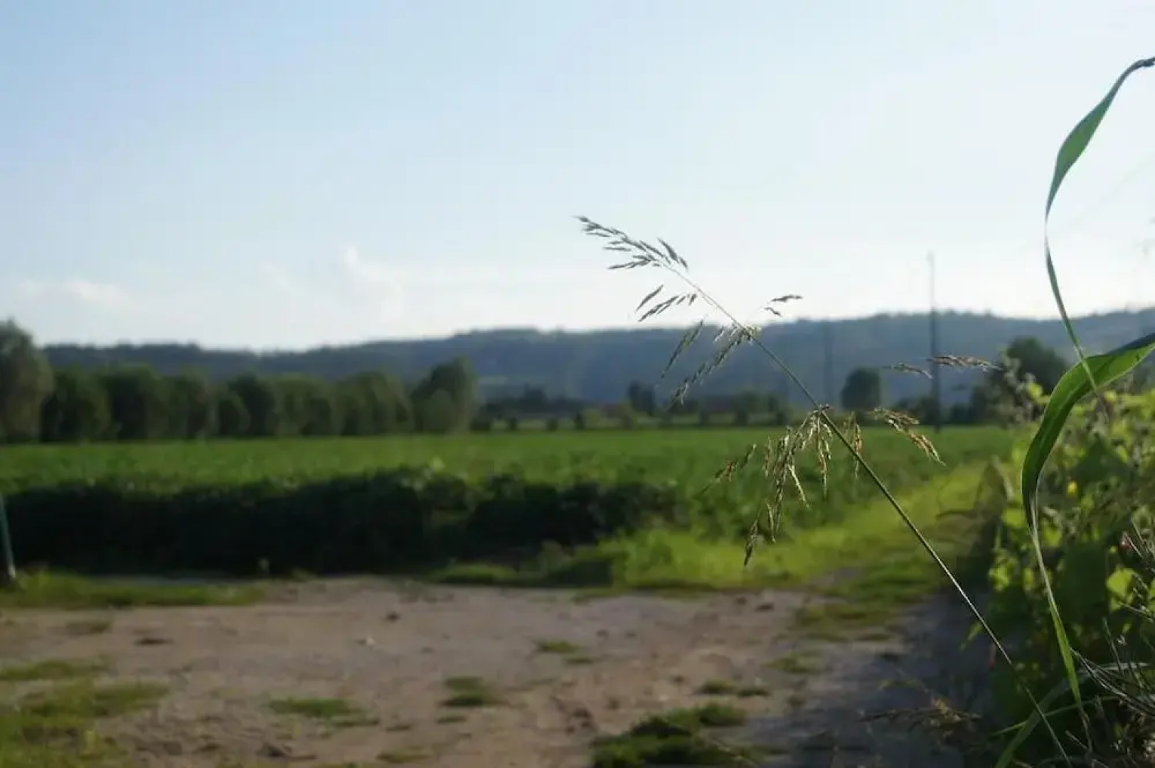 Agriturismo alla Corte