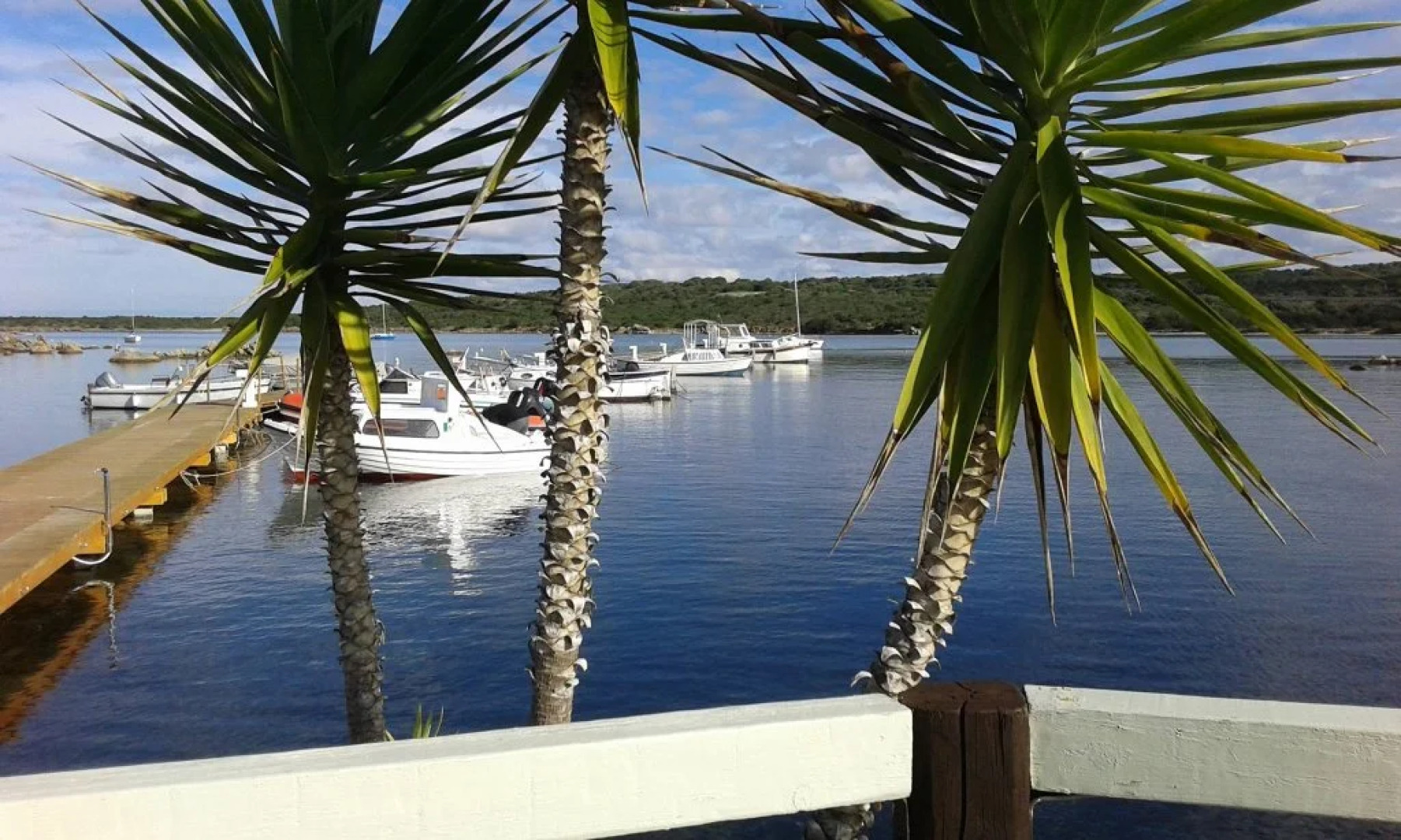 Baia de Bahas - Apartments