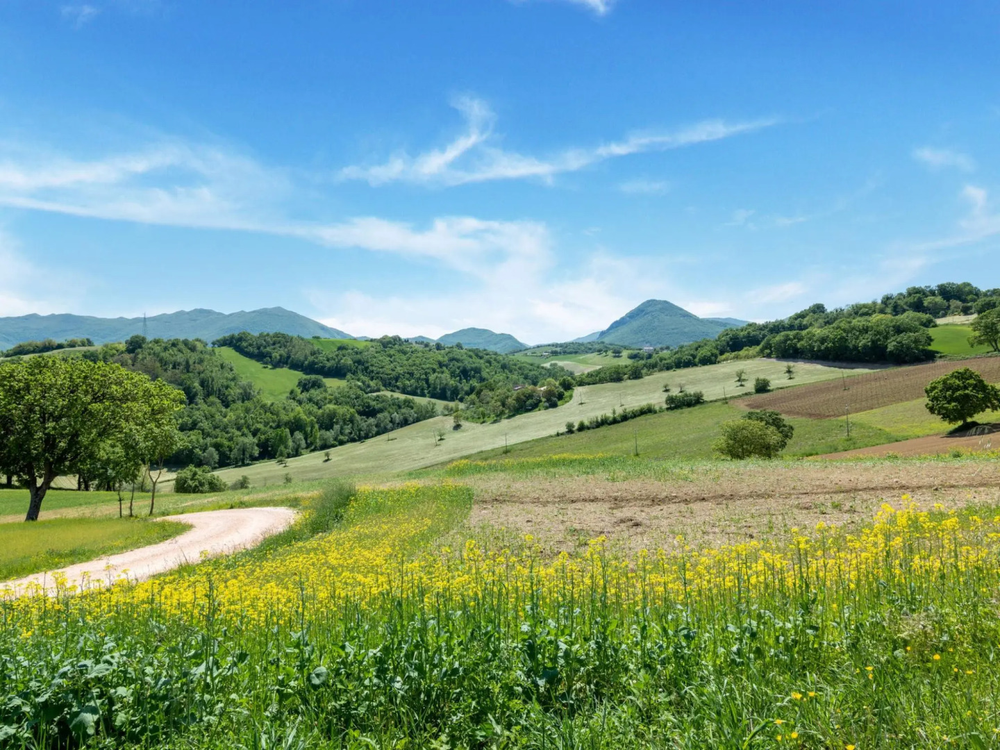 Rural apartment in Matelica with shared pool