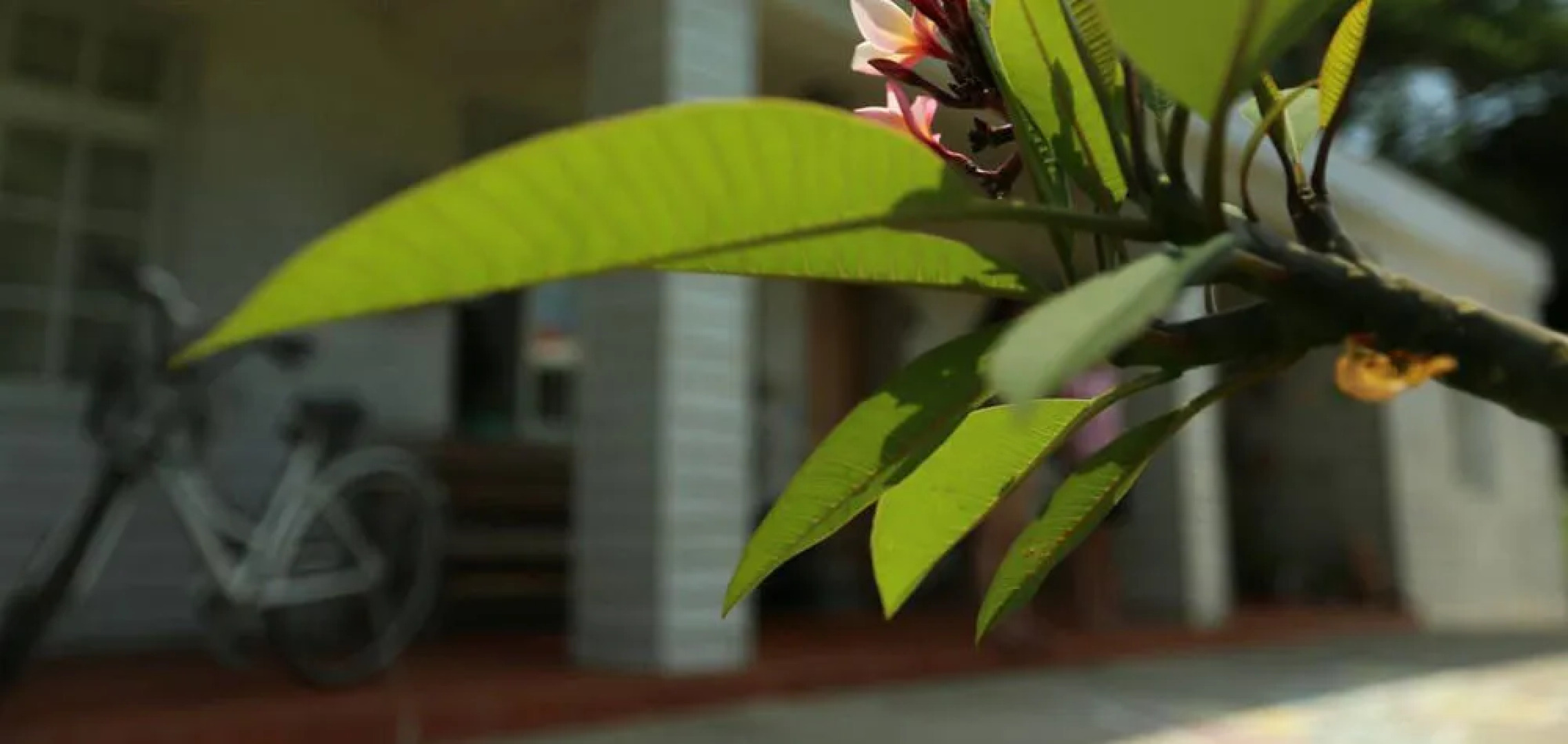 The Rainbow Bed and Breakfast