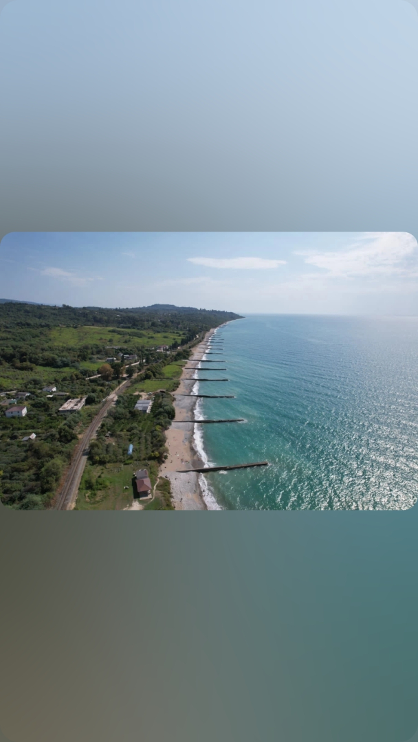 Мандарин Новый Афон