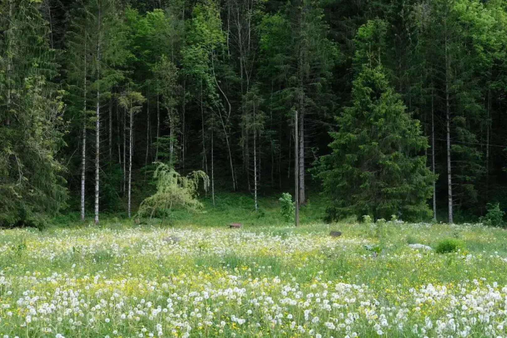 Riversong Centre Thermal