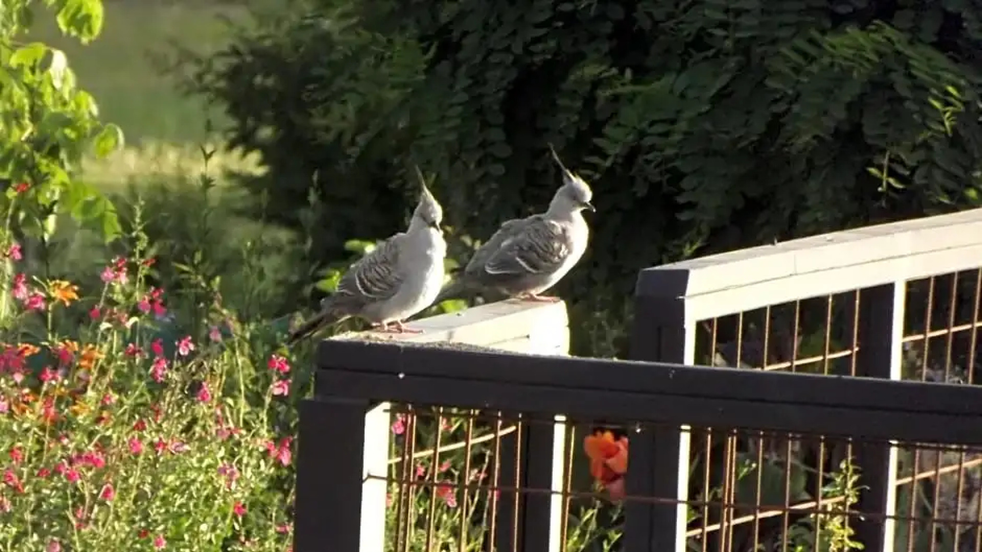 Barklysuites Apartments