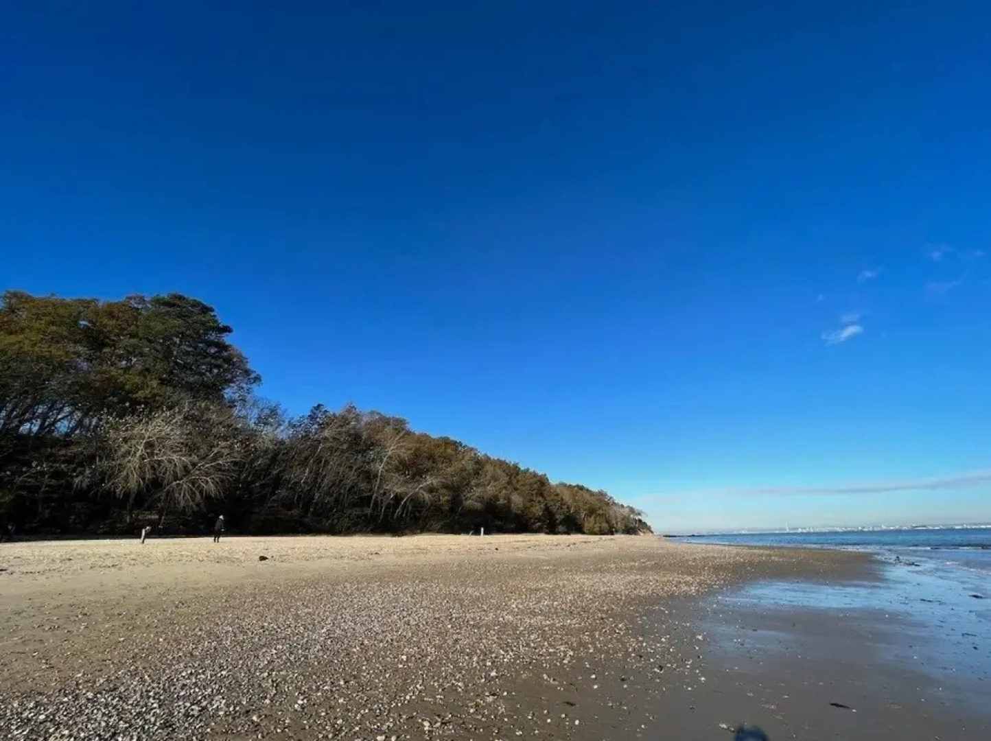The Boathouse Seagrove Bay