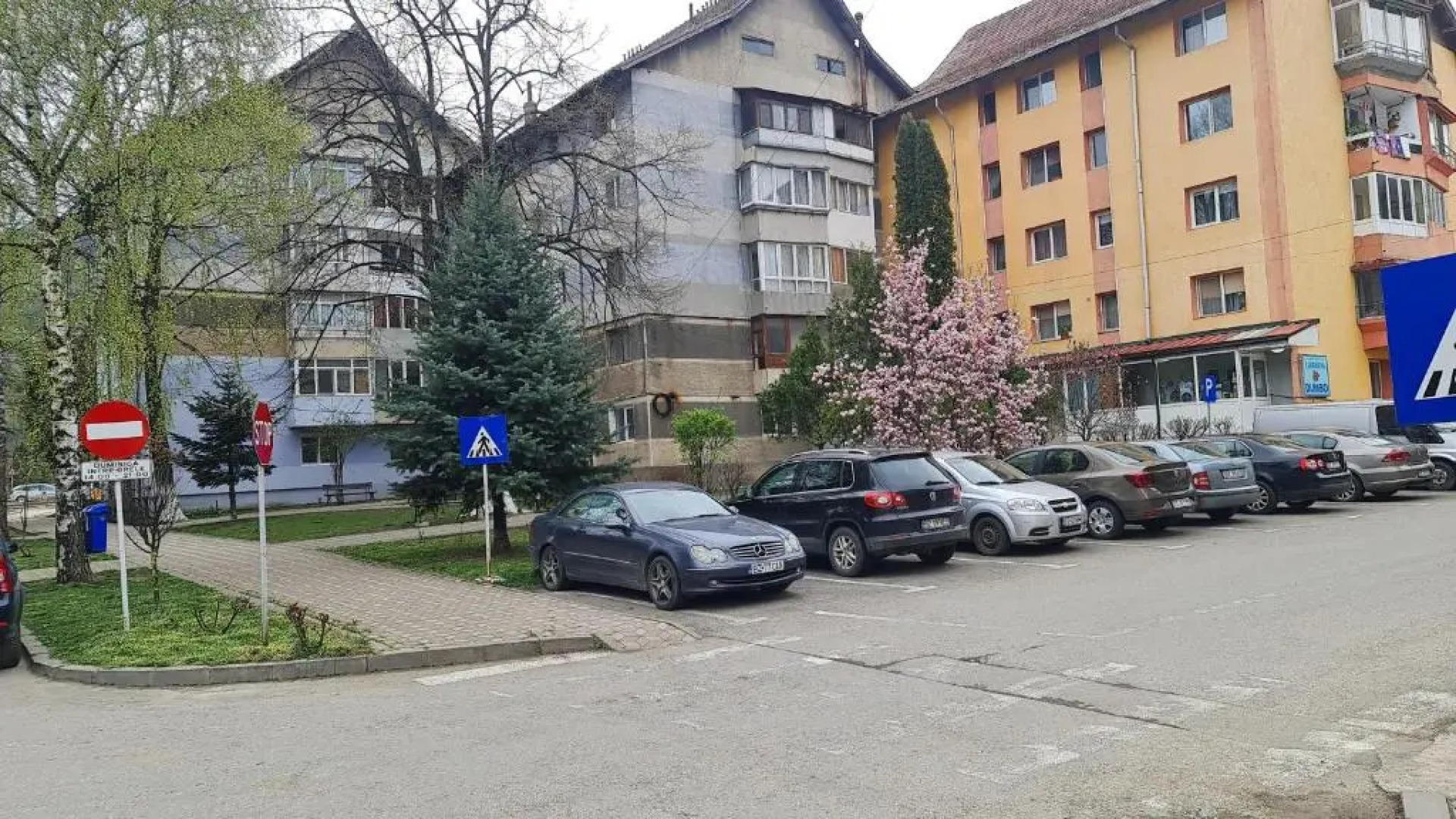 Nehoiu apartament